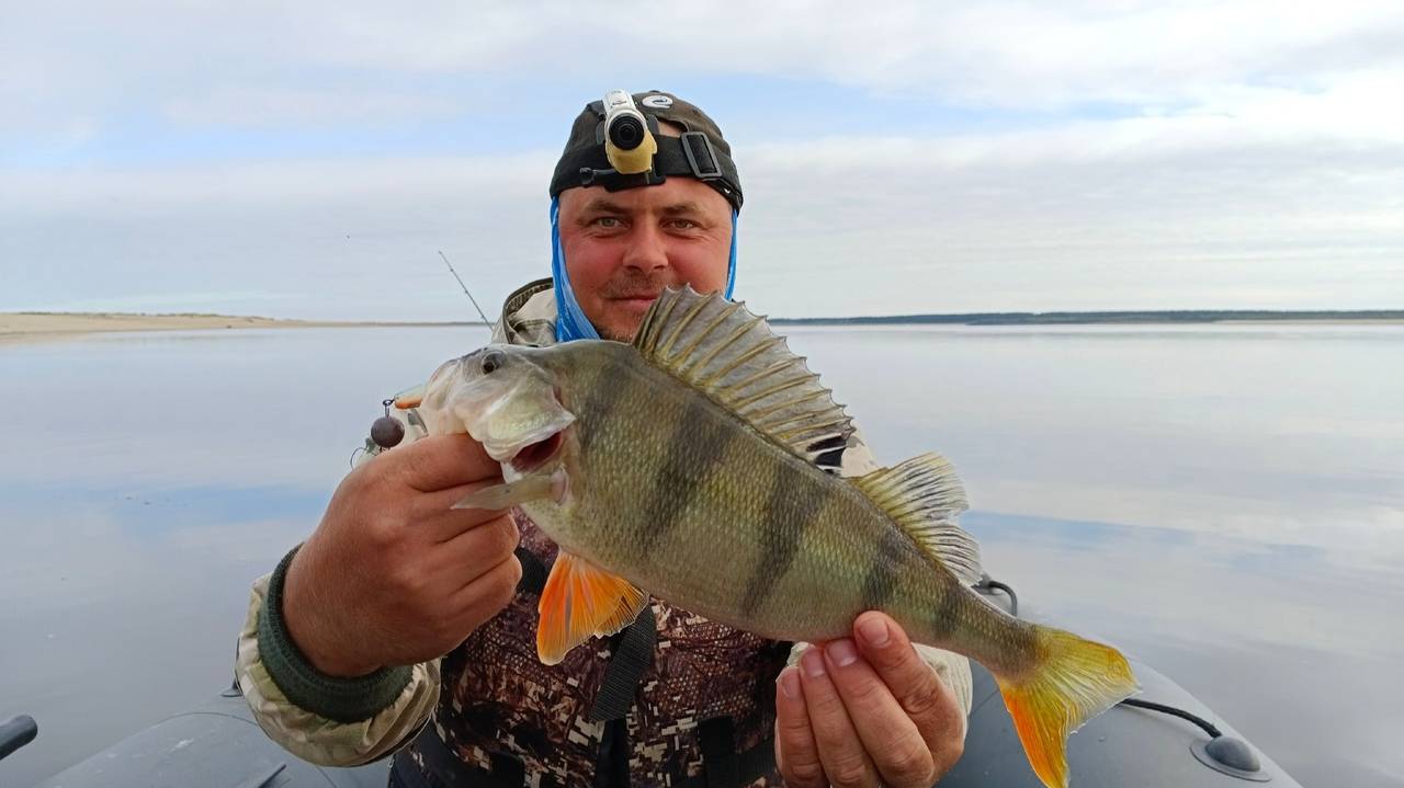 ОТПЛЫЛИ СТО МЕТРОВ ОТ ЛАГЕРЯ И ПОД ЛОДКОЙ ТОННА РЫБЫ! ОКУНЁВЫЙ РАЗНОС НА ДЖИГ РЫБАЛКА НА СЕВЕРЕ Ч.2 смотреть онлайн