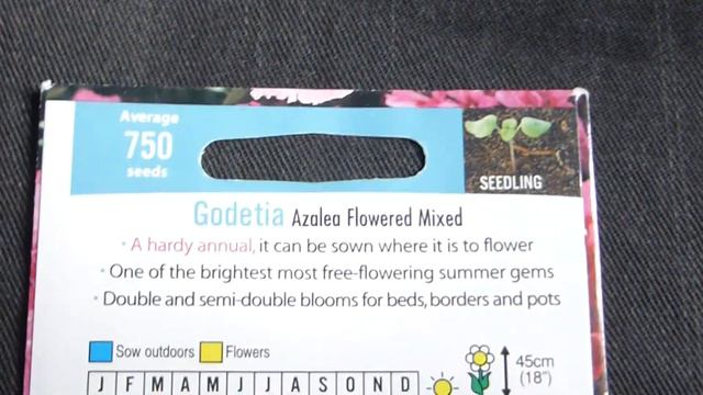 Satin Flower Seeds - Godetia grandiflora - Meyjablómi - Blómafræ - Sumarblóm смотреть онлайн