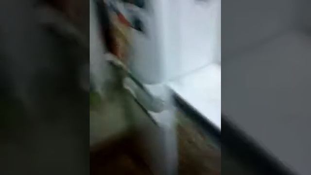 Как сделать лизуна.Очень лёгкий способ сделать лизуна..... смотреть онлайн