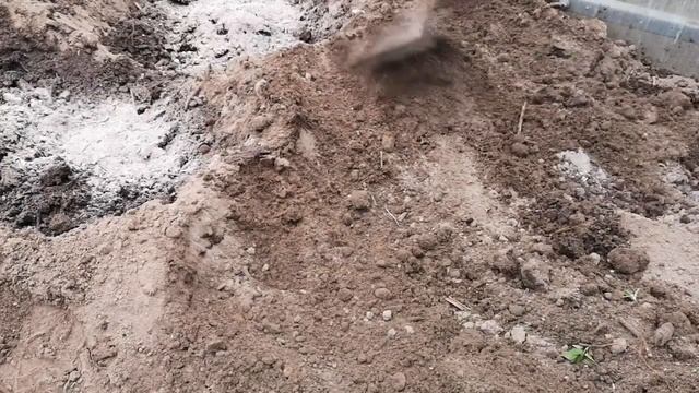 ПОСАДКА ГОРЬКОГО ПЕРЦА В ОТКРЫТЫЙ ГРУНТ. смотреть онлайн