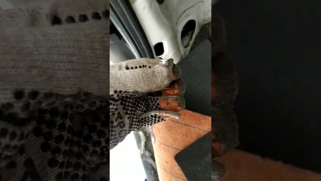 ТехноФокус