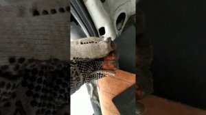 Как поменять лампы в задних фонарях  на Fiat DOBLO Panorama