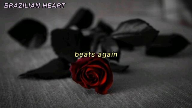 "Roses Cannot Speak" - Cartola смотреть онлайн