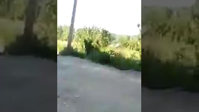 31 июля 2018 г. смотреть онлайн