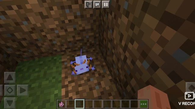 КАК ПРИЗВАТЬ СИНЕГО АКСОЛОТЛЯ В МАЙНКРАФТ ?????? смотреть онлайн