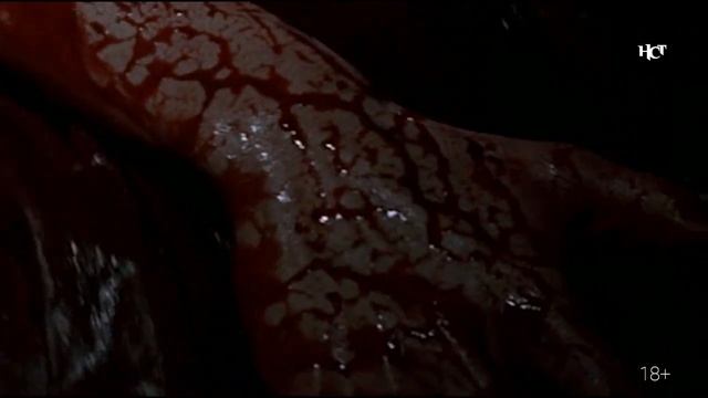 Мясо по-бургундски: 5 главных французских хорроров