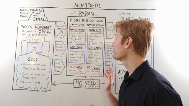 Numbers: a Quick Overview | Whiteboard Bible Study смотреть онлайн