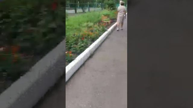 КГБП ОУ "Красноярский монтажный колледж" смотреть онлайн