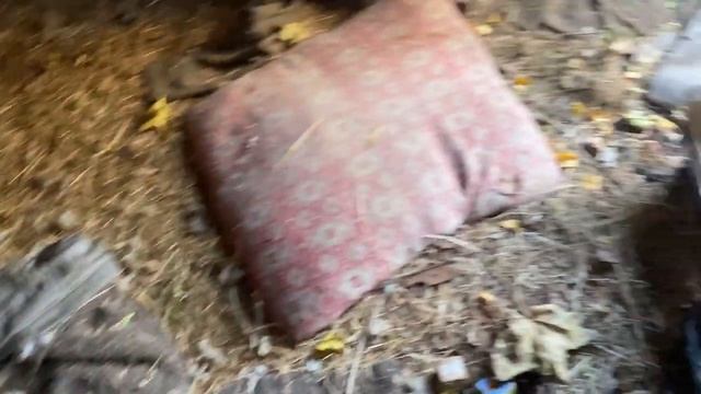 Заброшенная деревня, люди здесь не живут уже лет 20, а дома по прежнему полны вещей смотреть онлайн