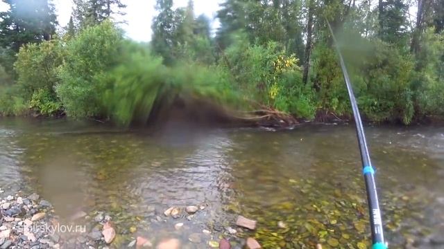 На Квадрике по Горным Рекам за Хариусом и Ленком. Полное бездорожье! смотреть онлайн