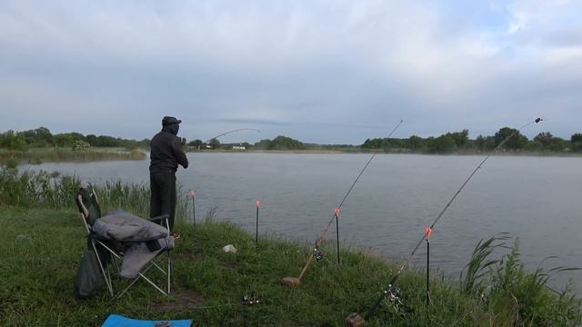 Рыбалка карась чеснок невероятный клев снасти убийца-карася и ПУФ медовый смотреть онлайн