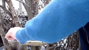 Пила проволочная ручная.