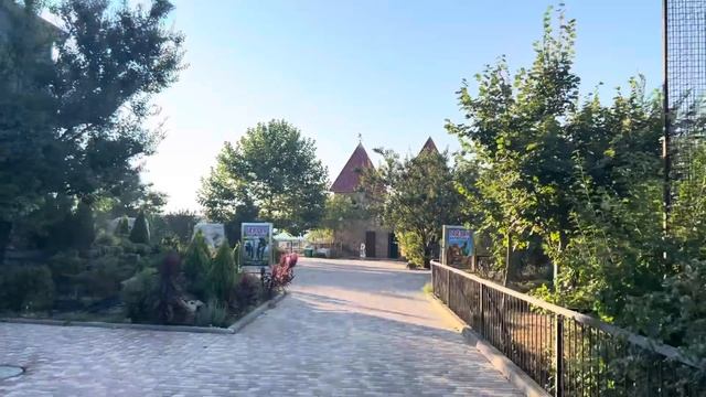 Олег Зубков и его парк львов Тайган, как я в нём ориентируюсь? смотреть онлайн