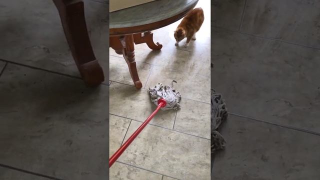 Mopping wit Arlo - The Adventures of Arlo смотреть онлайн