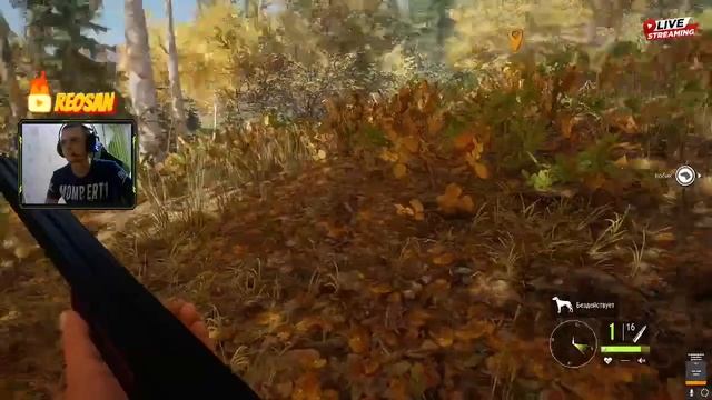 TheHunter: Call of the Wild Напала Стая Волков смотреть онлайн