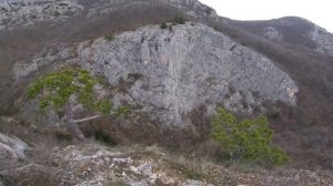 Соколиное, Крым