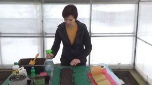 Как сделать "улитку" для рассады и что в нее посеять