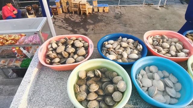 North Korean Food | SEAFOOD at Wonsan - Catch of the Day смотреть онлайн