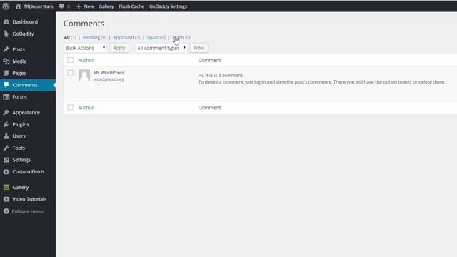 Wordpress 101 - Tutorials For Beginners - Introduction - Wordpress Dashboard Overview смотреть онлайн