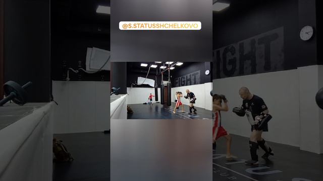 щёлково. богородский. тайский бокс. #муайтай #muaythai #sport #тайскийбокс #fitness #gym #спорт смотреть онлайн