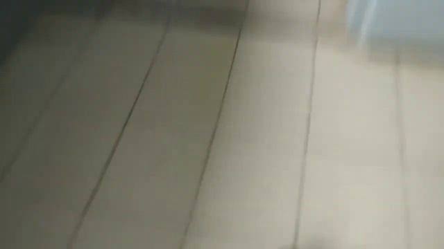 Террариум и покупки песчанкам? смотреть онлайн