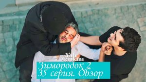 Зимородок 2. Серия 35. Краткий пересказ.