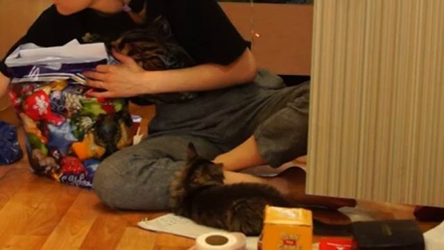 ПОЛНАЯ УБОРКА это важно посмотреть смотреть онлайн