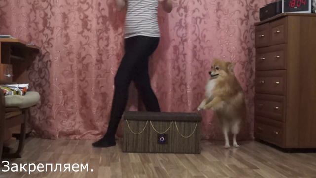 Обучение : элементы с сундуком P.s. ЧиП =) смотреть онлайн