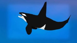 Pivot Battle Arena: Great White Shark VS Orca