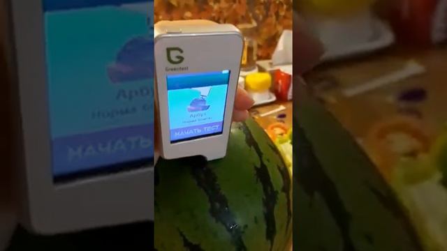 Опасный арбуз или провокация? смотреть онлайн