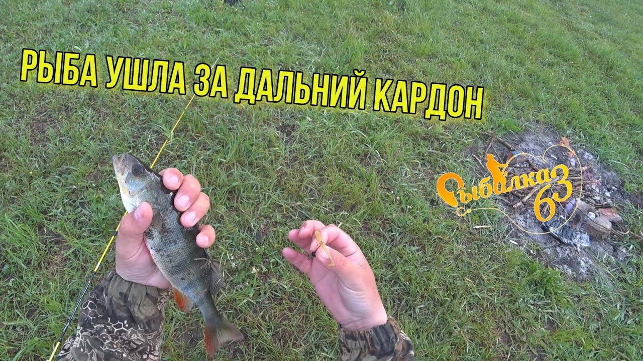 Рыба ушла за дальний кордон. Рыбалка на спиннинг в запрет смотреть онлайн