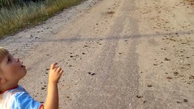 Влог 1. Гуляем по селу Муранка смотреть онлайн