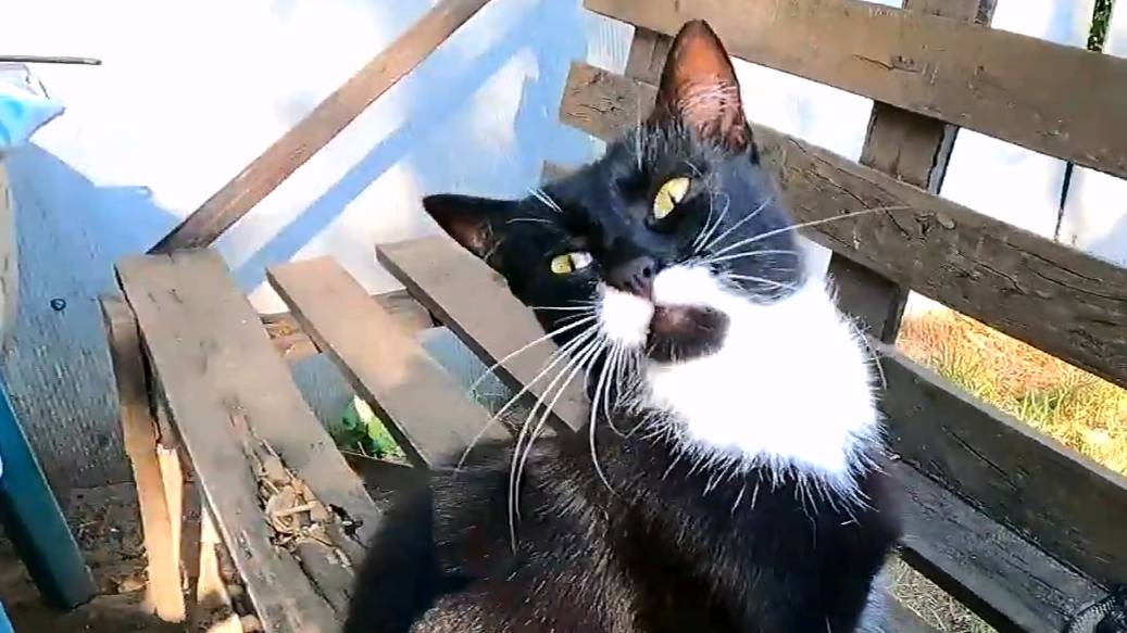 Славянск. 21 июля 2024г. Утро. смотреть онлайн