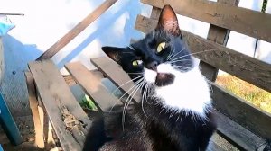 Славянск. 21 июля 2024г. Утро.