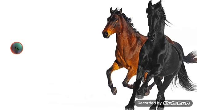 Лошадки лошадки бегают о па падают как смешно (не смешно) смотреть онлайн
