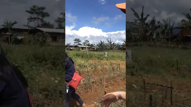 Malaybalay bukidnon diversion road visit sa flower farm смотреть онлайн