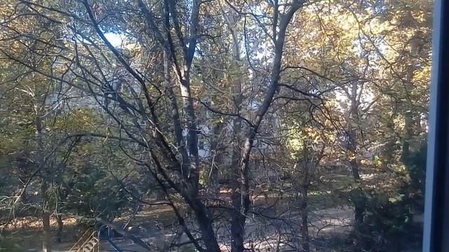 КАК ОТКРЫТЬ КАНАЛ БЛАГОДАТИ В СВОЕЙ ЖИЗНИ - ДЕЛЮСЬ СОКРОВЕННЫМ 7.11.2018 смотреть онлайн