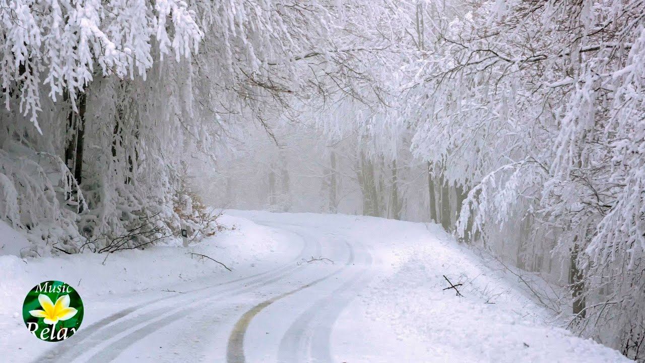 Winter Forest Walk and Ambient Music for Christmas смотреть онлайн