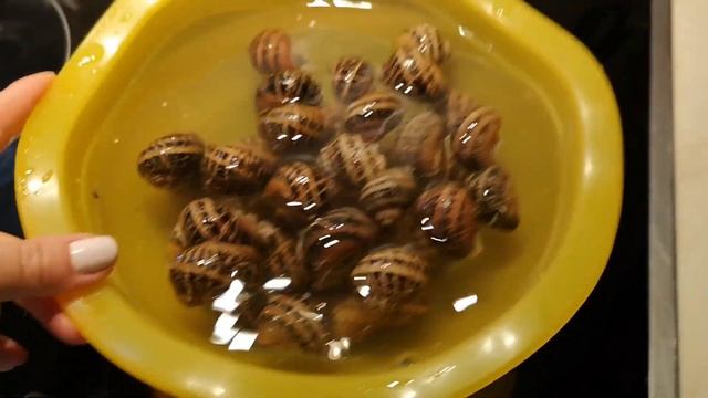 Живопись и Рисование