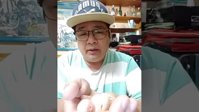 UPDATE GULP STEWARD MAY MENSAHE SA LAHAT NG SUPPORTERS KAY FLM смотреть онлайн