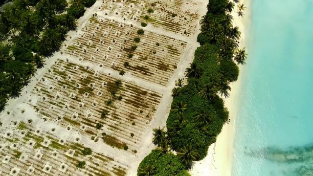 Maldives, Sun Island from the height of a drone смотреть онлайн