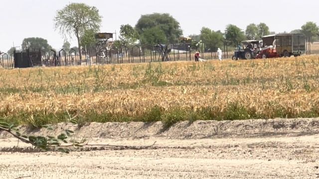 Life on the Edge | Village life | Indian Farmers Thrive at the India-Pakistan Border Village смотреть онлайн