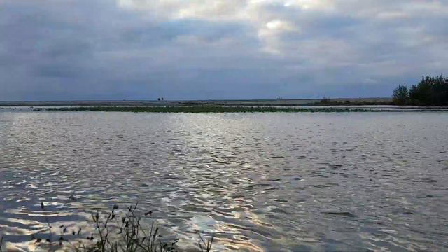 Мзымта у "Мандарина" | Жизнь на Юге смотреть онлайн