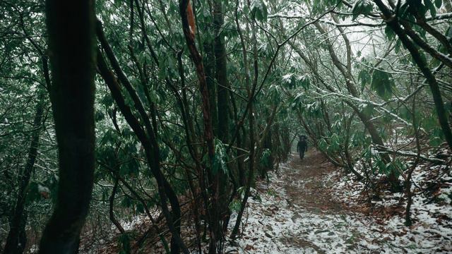 How to Overcome Winter Burnout смотреть онлайн