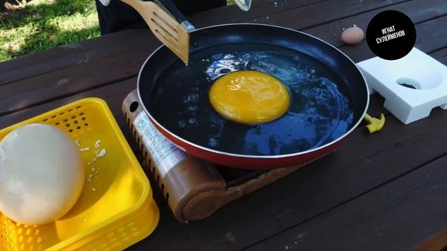 Приготовление страусиного яйца. Большая яичница