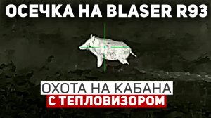 Осечка на Blaser R93 ⚙️ | Неприятный «сюрприз» чуть не сорвал охоту 😬