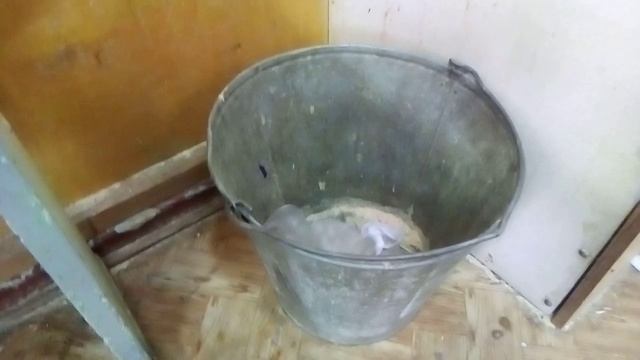 покер живой