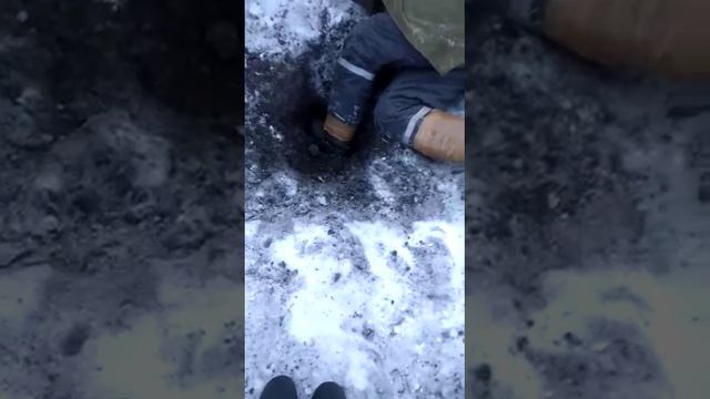норная охота с ягдтерьером!!! смотреть онлайн