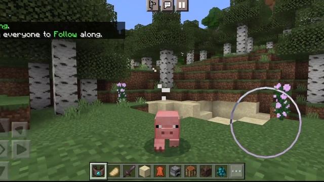 Best 1.20 Morph Mod || [ Best ] Morph Mod for Minecraft Pe 1.20 | Best Morph Mod for Minecraft PE | смотреть онлайн