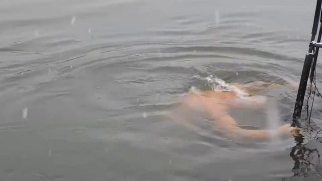 Балашовские моржи. смотреть онлайн